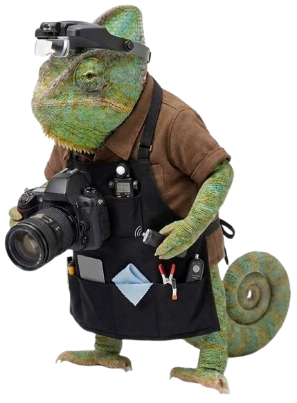 KI Produktfotografie - KI Chamäleon