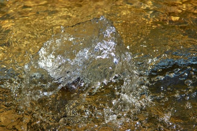 image-29 Photo FLUX1 Redux