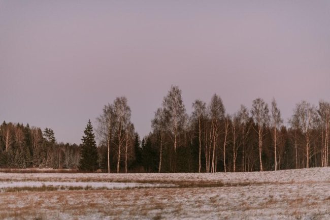 image-50 Photo NoobAI