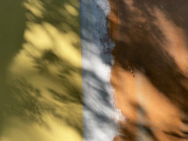 image-52 Photo Image-to-Image & Inpainting