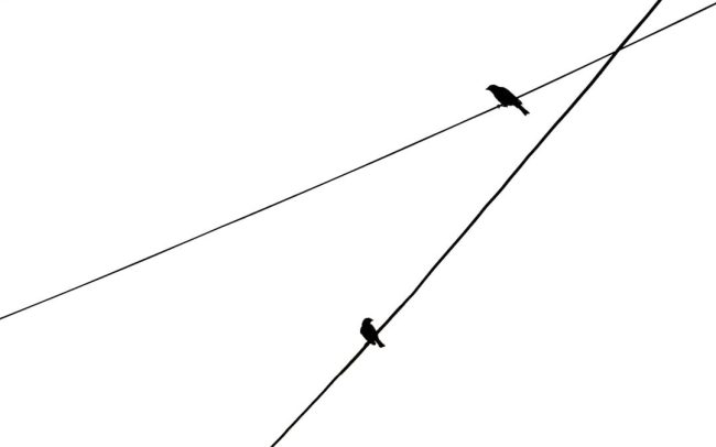 image-17 Photo Stable Diffusion 20