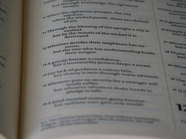 image-44 Photo Urheberrecht