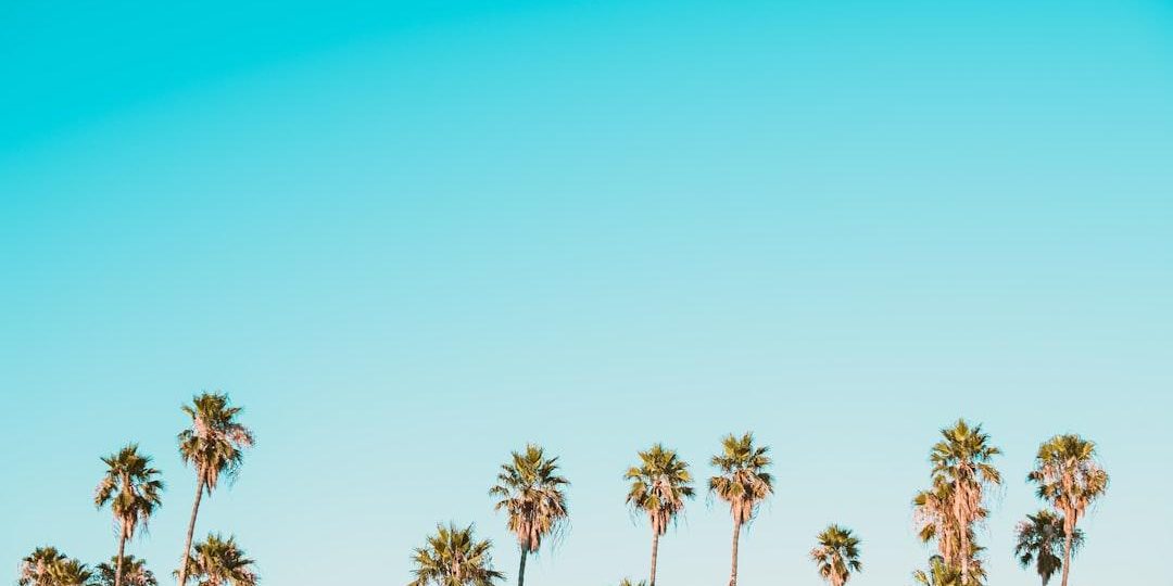 image-10 Photo AI Images