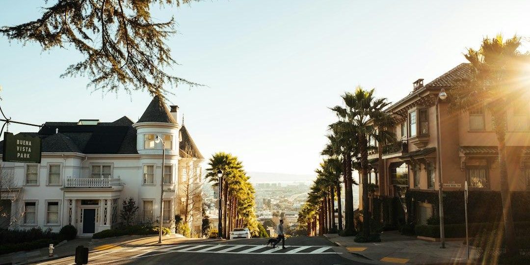 Photo Image recognition systems